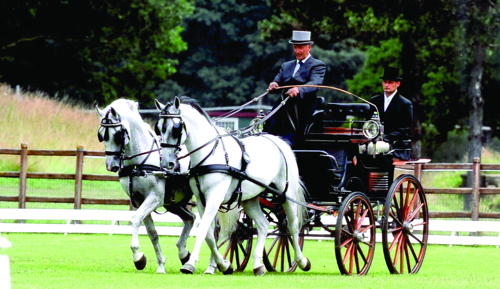 carrozza-Bianchi-con-cavalli